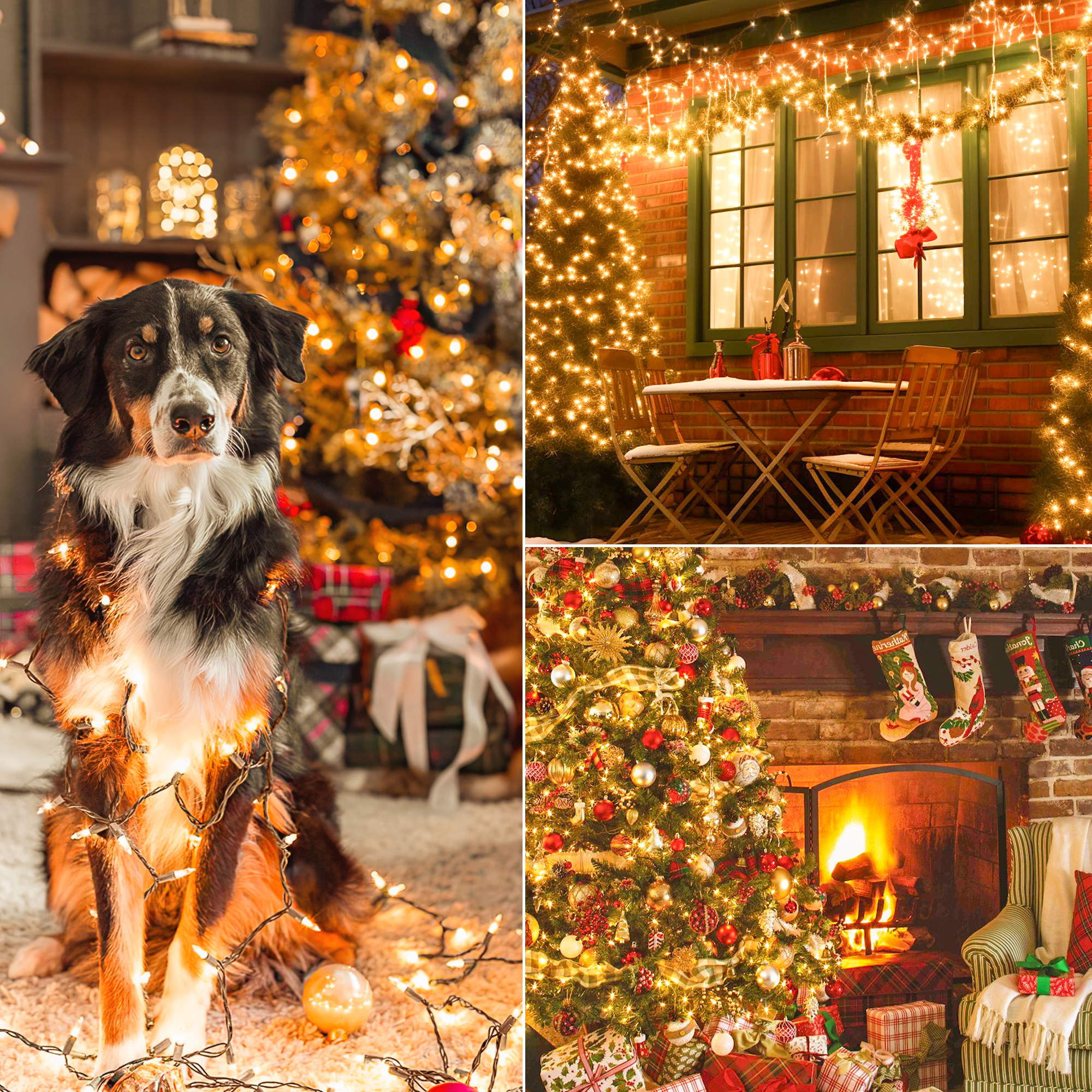 Lumière de décoration de Noël en fil marron