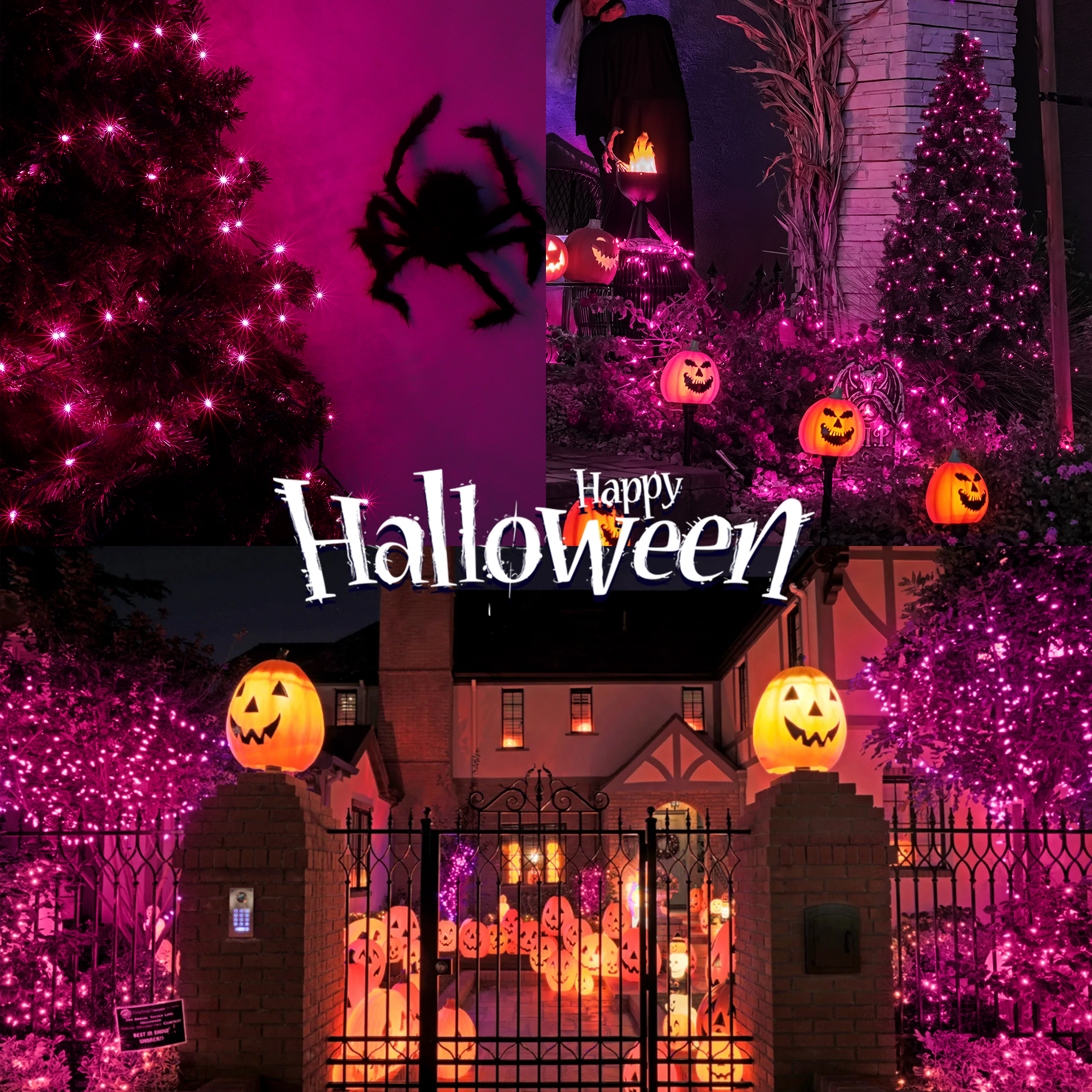 Guirlande lumineuse de décoration d'Halloween de 13 pieds à 50 LED