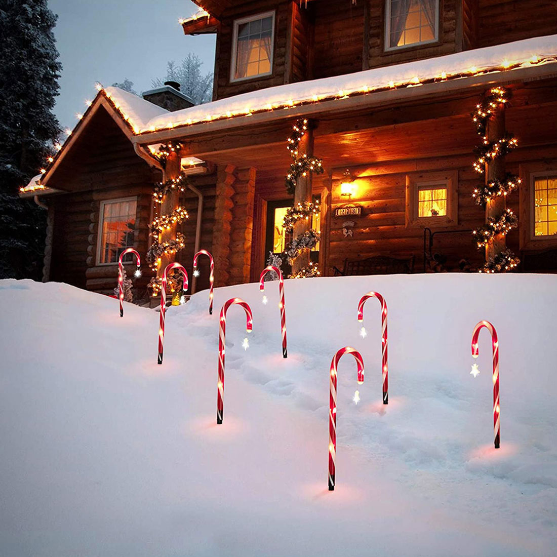 Photo de scène de lumières de piquets de chemin de canne à sucre