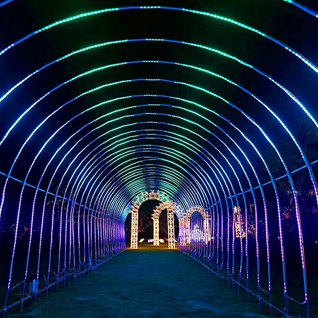 Image de scène de lumières d'arc en forme de coeur de Noël en plein air