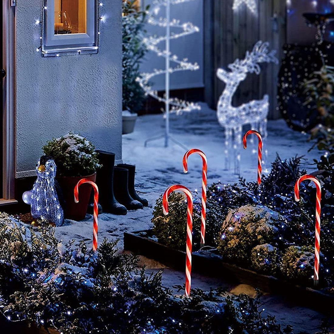 Photo de scène de lumières de piquets de chemin de canne à sucre