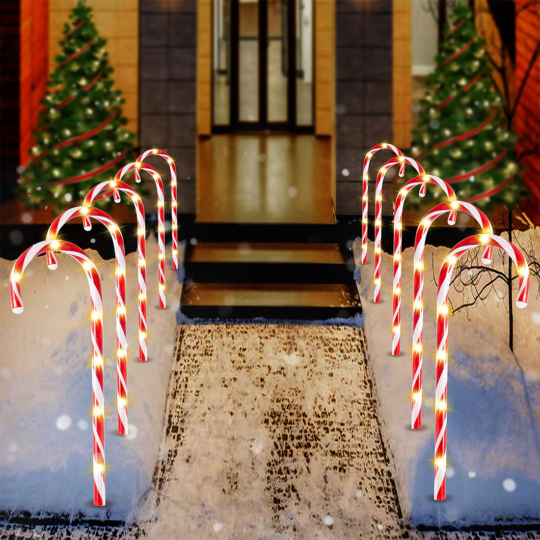 Lumières sur piquets pour allée de canne à sucre