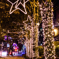 Guirlandes lumineuses pour rideaux de fées, événements de mariage