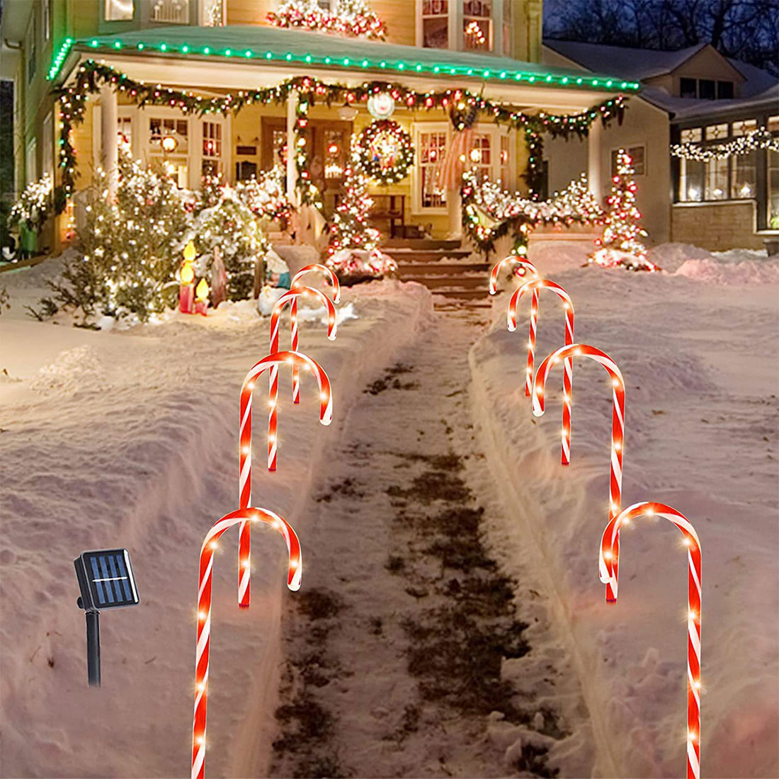 Photo de scène de lumières de piquets de chemin de canne à sucre