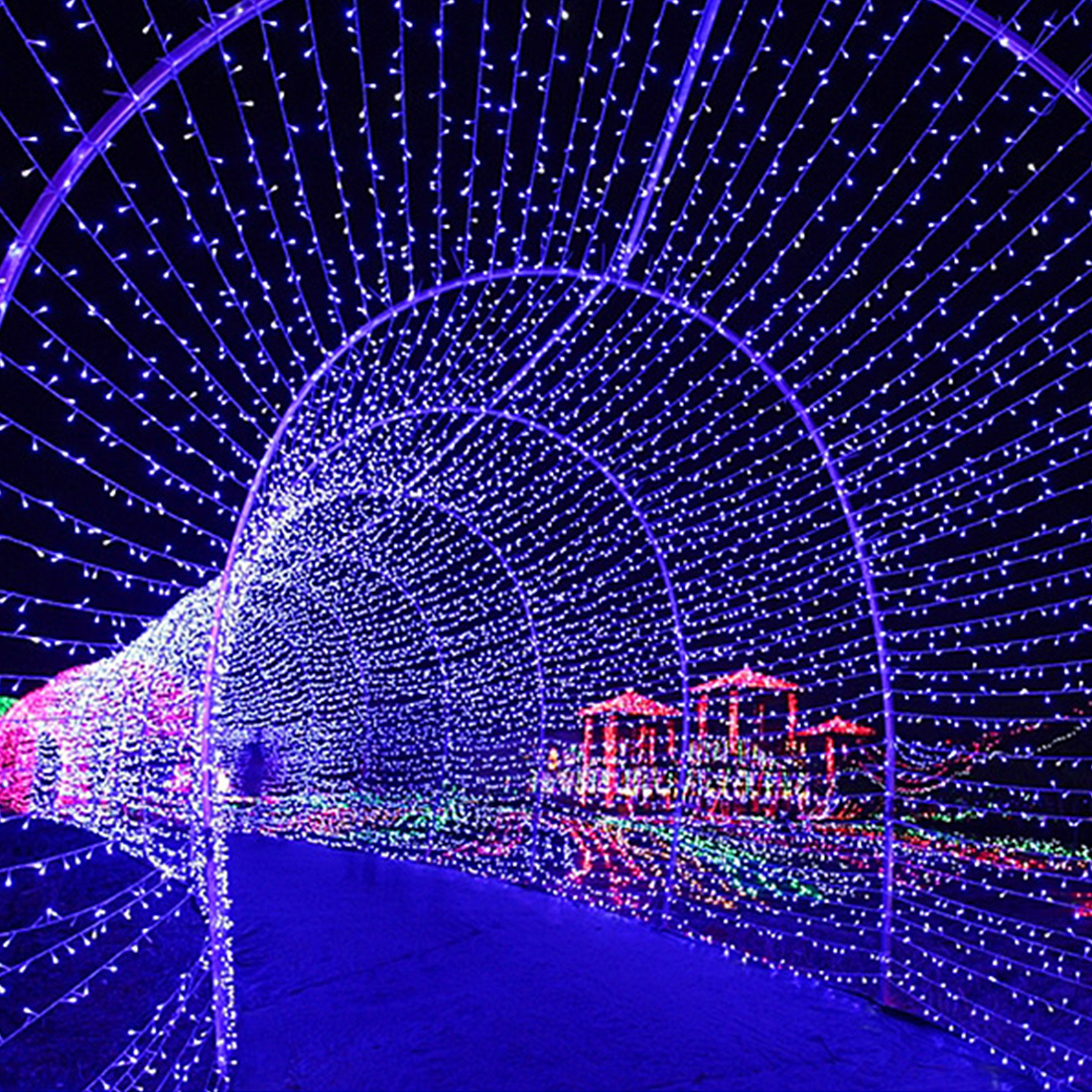 Image de scène de lumières d'arc en forme de coeur de Noël en plein air