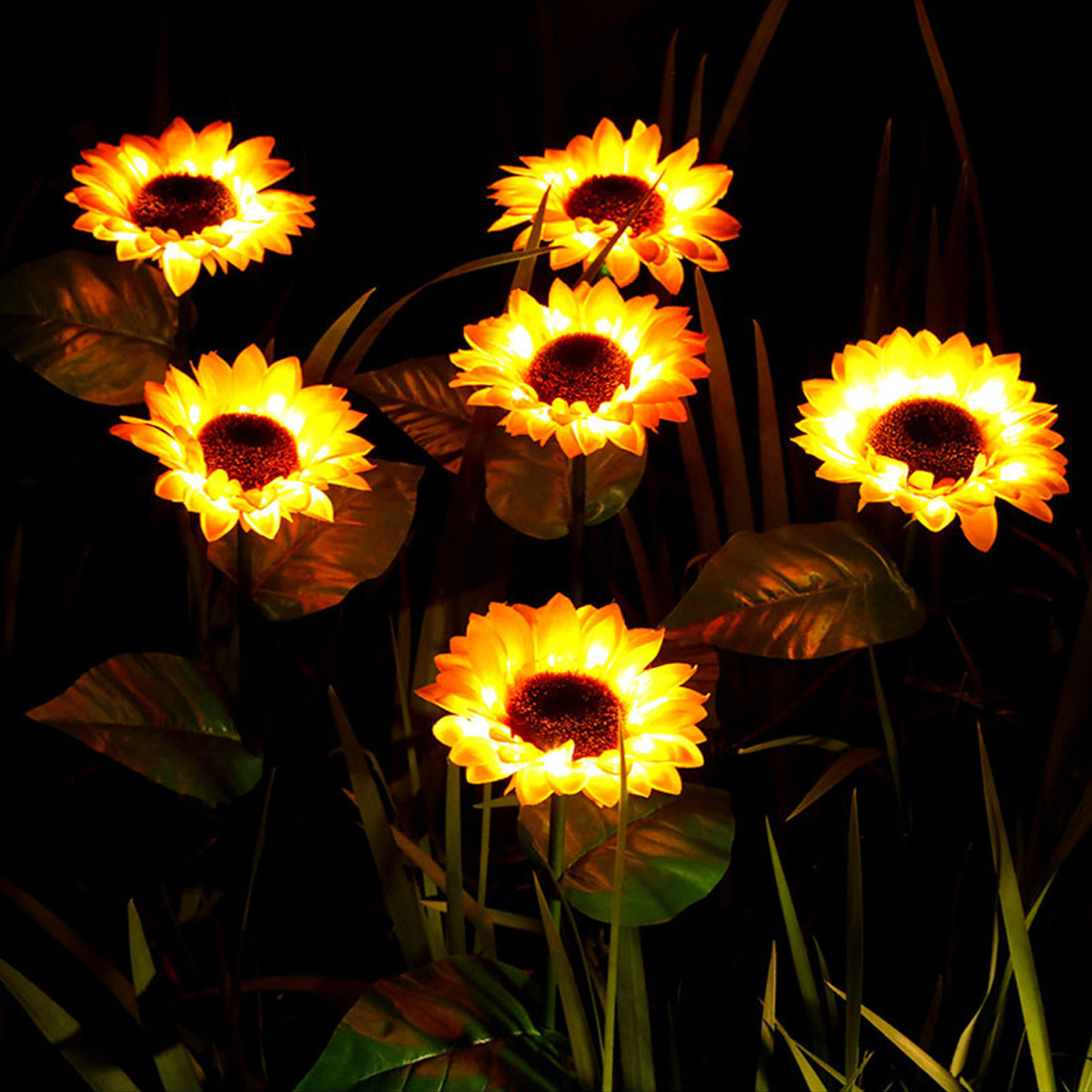 Spectacle nocturne de lumière LED sur piquet de tournesols solaires