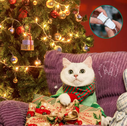 lumi&egrave;res de No&euml;l