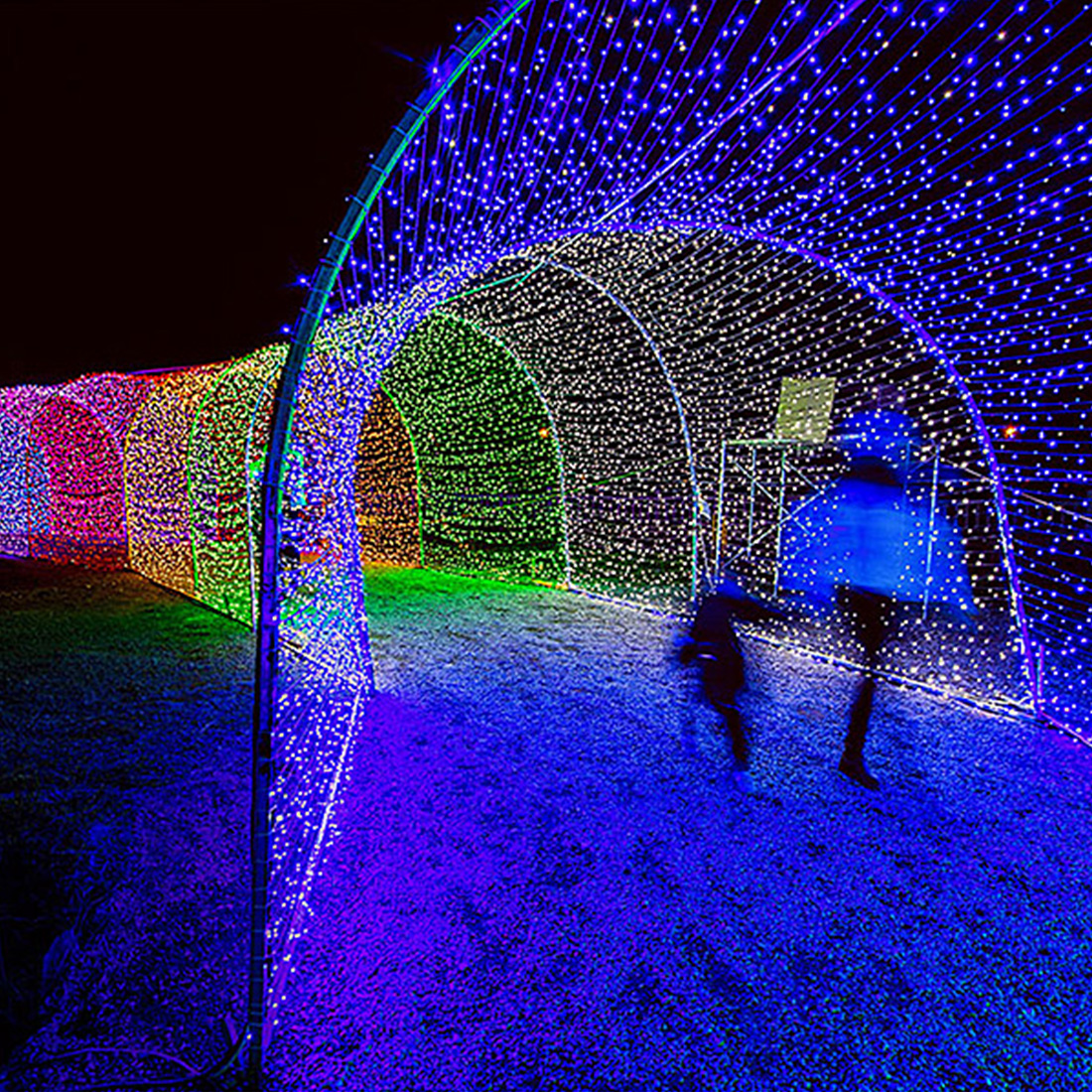 Image de scène de lumières d'arc en forme de coeur de Noël en plein air