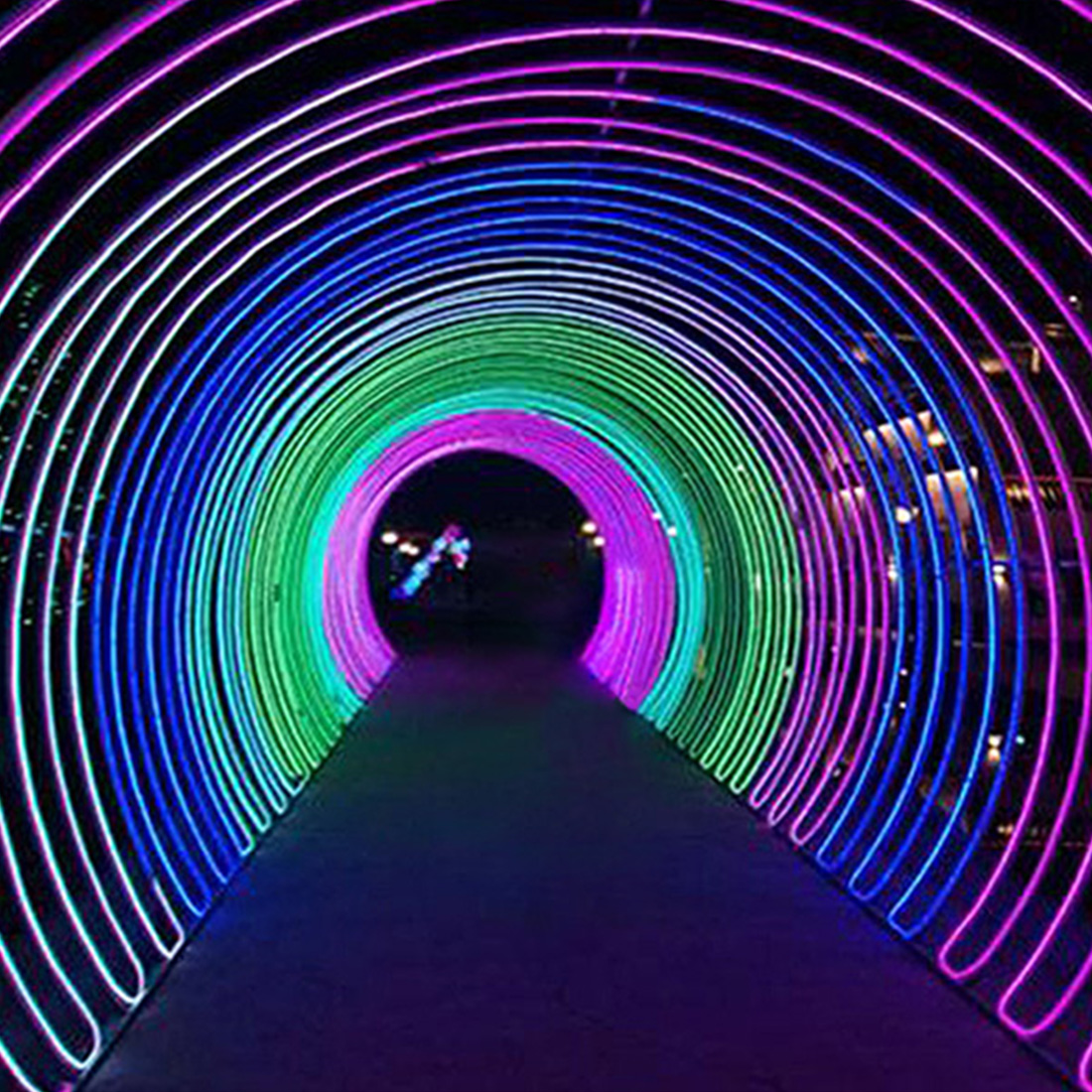 Image de scène de lumières d'arc en forme de coeur de Noël en plein air