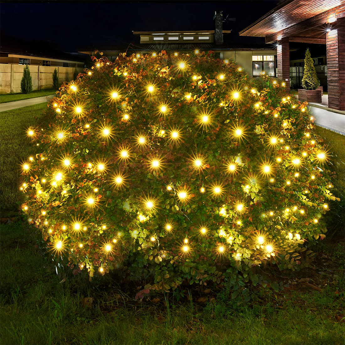 Photo de scène de lumières de Noël à LED extérieures